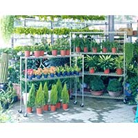 花草植物種植儲物架，立體種植貨架，園藝盆栽置物架（2）