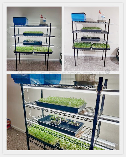 養(yǎng)殖蔬菜架子防銹露天種植層架可調節(jié)蘑菇蔬菜收納架-川井