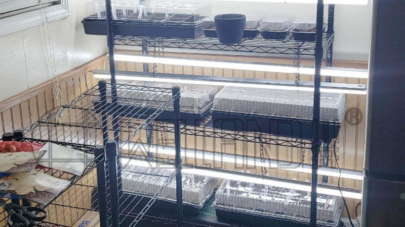 園藝場,花店,立體種植場,培植機構,居家陽臺-川井
